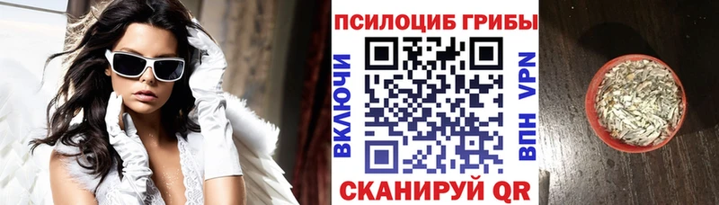 Псилоцибиновые грибы Psilocybine cubensis  Купить  Асбест 